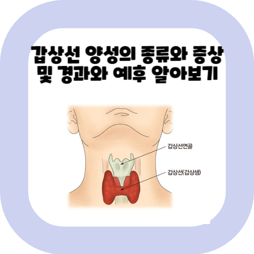 갑상선-양성의-종류와-증상-및-경과와-예후-알아보기