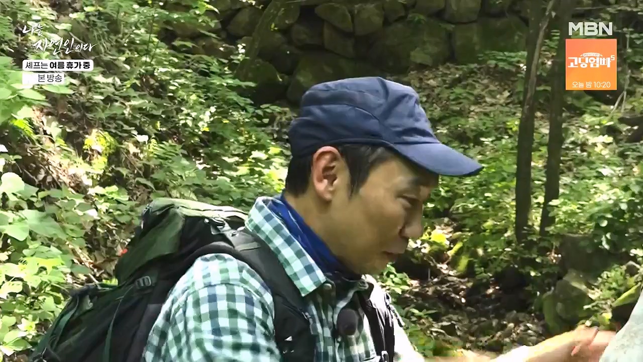 나는 자연인이다.E611.240627p-NEXT.mp4_20240627_195558.324.jpg