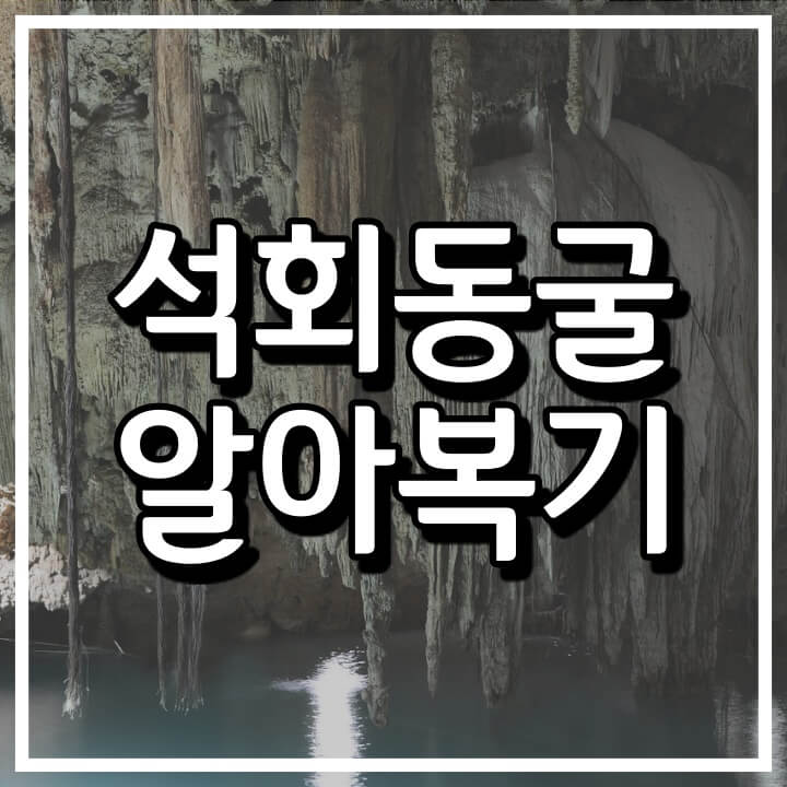  종유석과 석순의 비밀