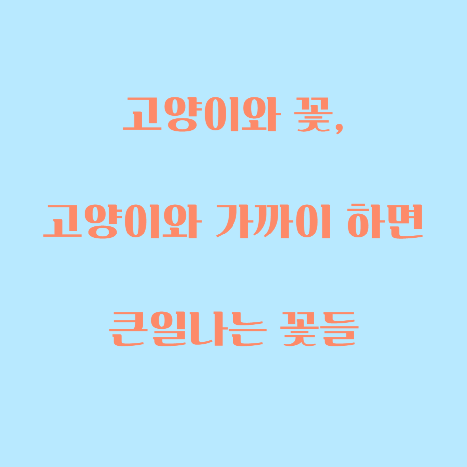  고양이와 꽃, 서로 가까이하면 안되는 둘