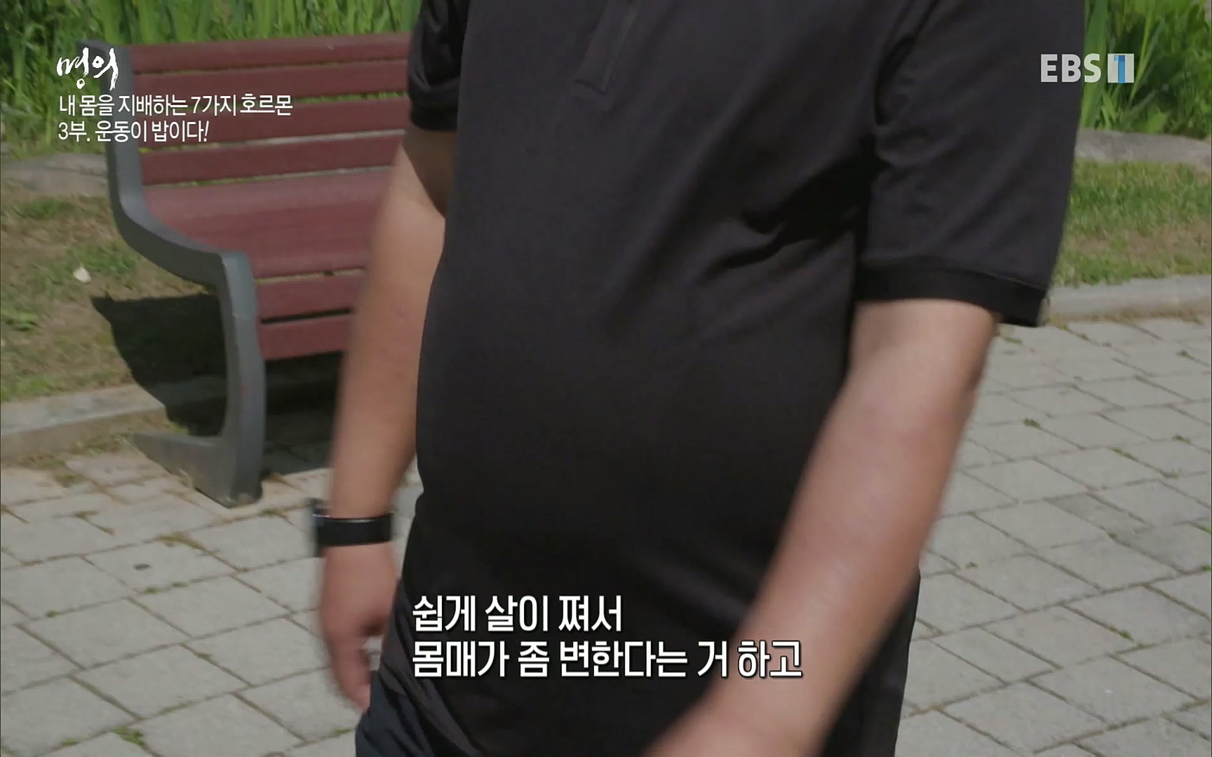 EBS 명의 헬스케어 - TV - 교육의 중심 EBS내 몸을 지배하는 7가지 호르몬 3부, 운동이 밥이다! .mp4_20220711_202504.697.jpg