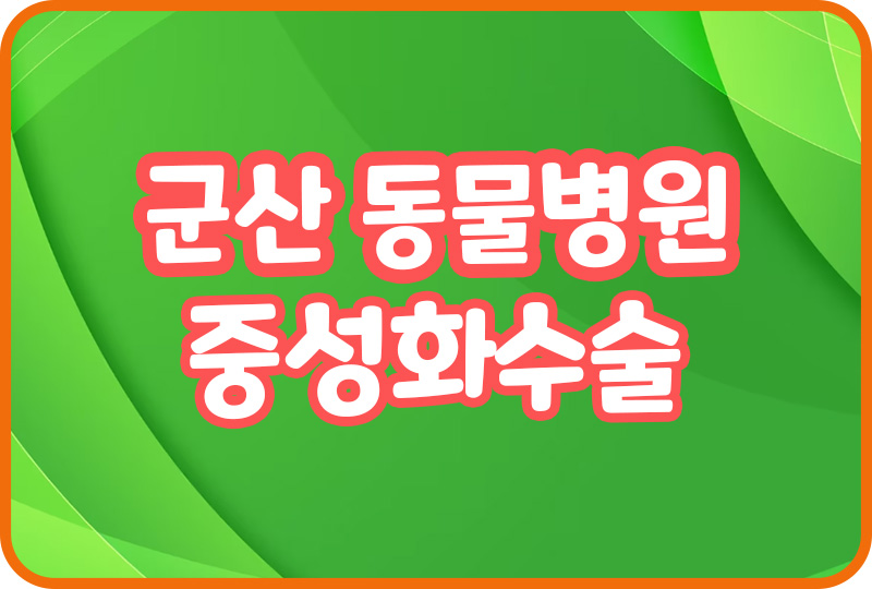  군산 동물병원 추천 중성화수술 예방접종 반려묘 동물검진 애견호텔