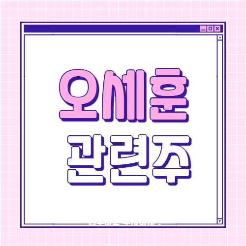  오세훈 관련주 6종목
