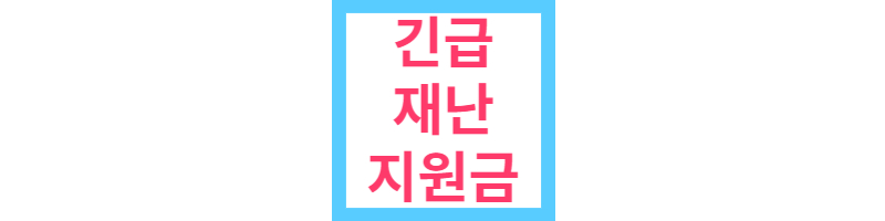 재난지원금