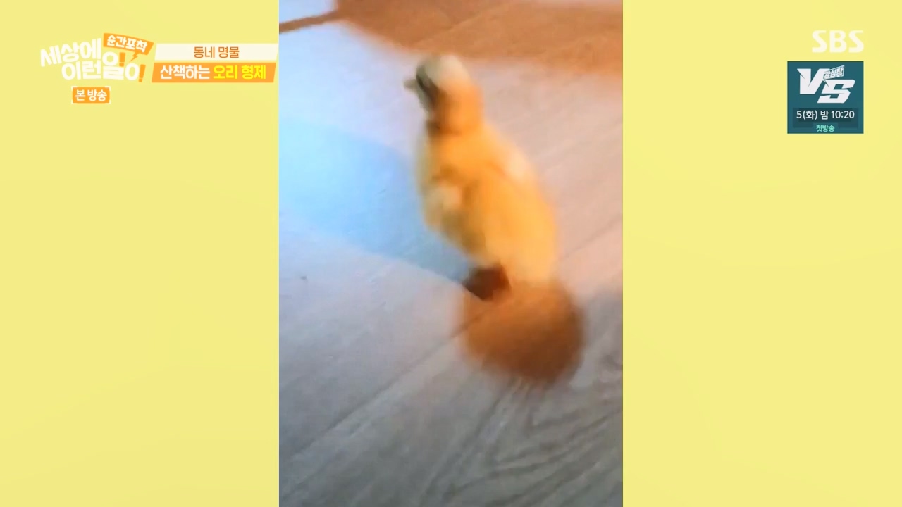 순간포착 세상에 이런일이.E1254.231203p-NEXT.mp4_20231203_140537.804.jpg