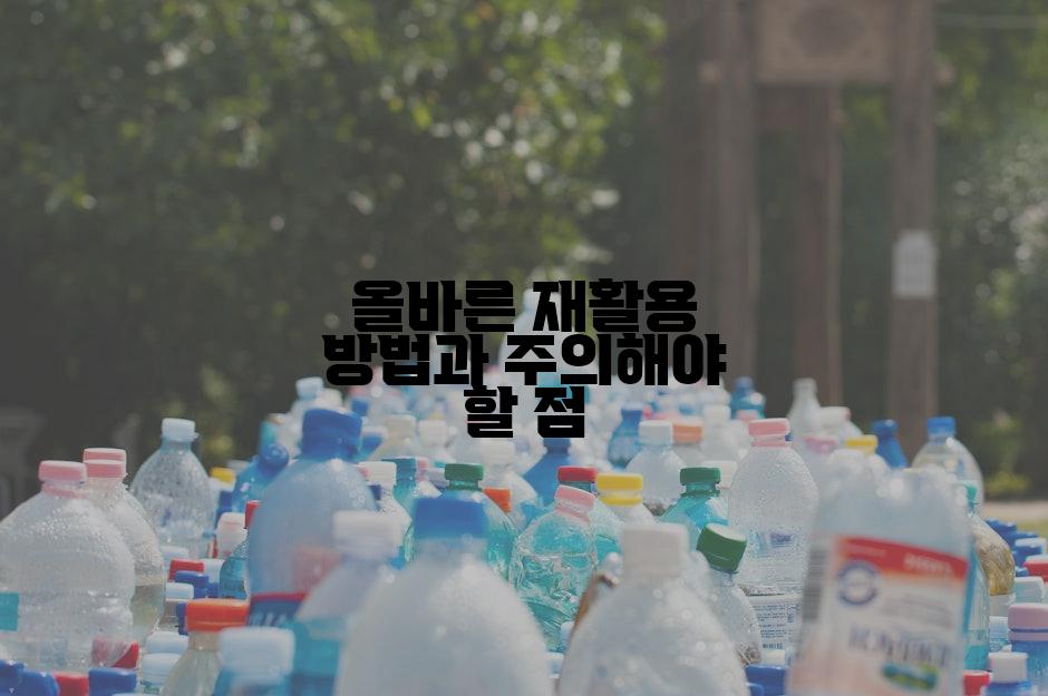 올바른 재활용 방법과 주의해야 할 점