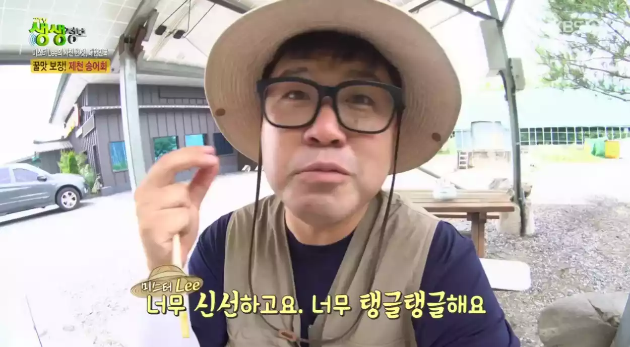 미스터lee