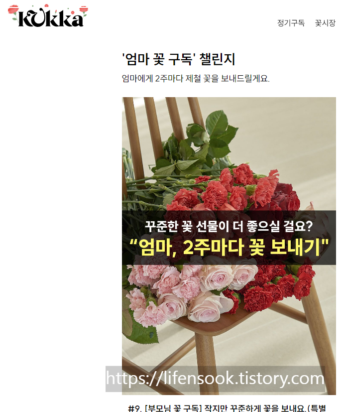부모님 꽃 구독 (꾸까 홈피 참조)