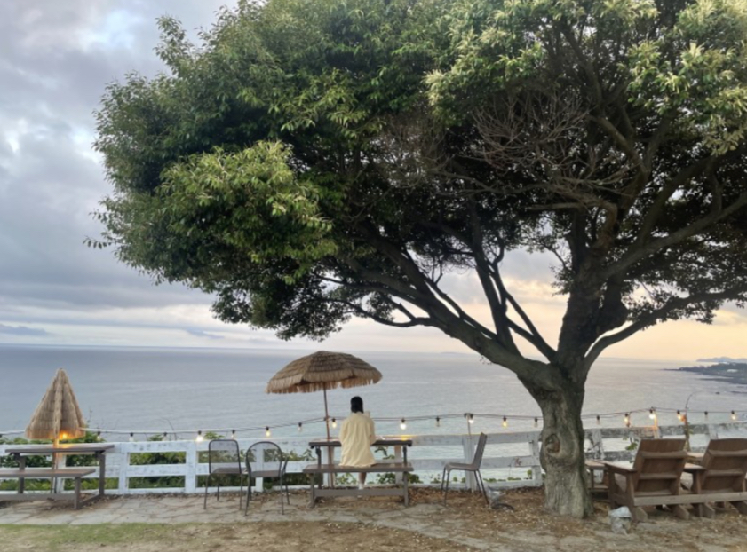 제주 바다바라