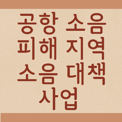  공항 소음 피해 지역 소음 대책 사업 - 현금 지원/소음 관리 개선 방안
