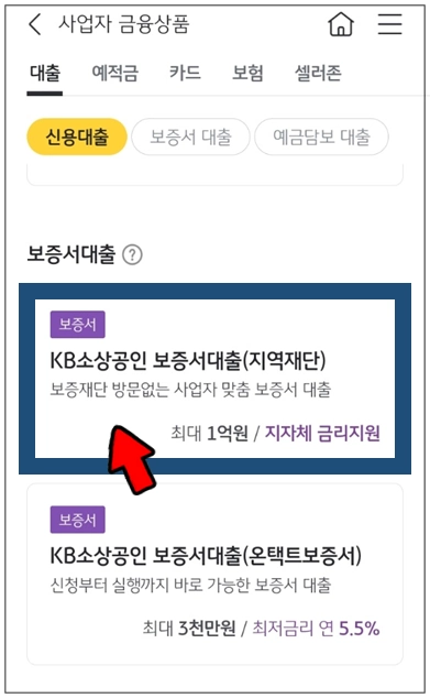 태백시-개인사업자대출-step4-KB소상공인보증서대출-메뉴선택