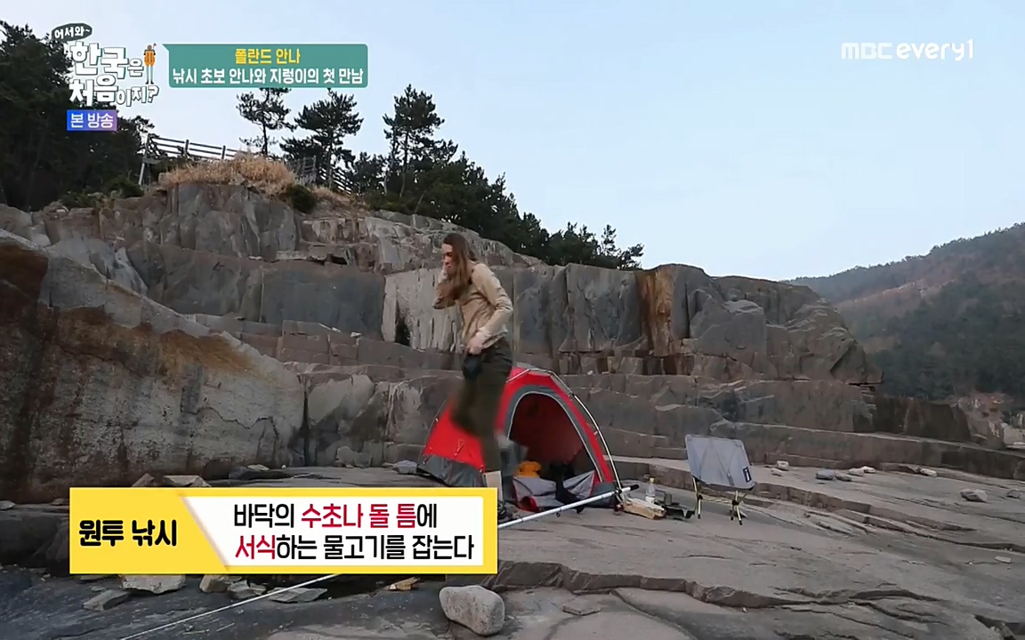 어서와 한국은 처음이지 시즌2.E210.220513p-NEXT.mp4_20220513_195302.356.jpg