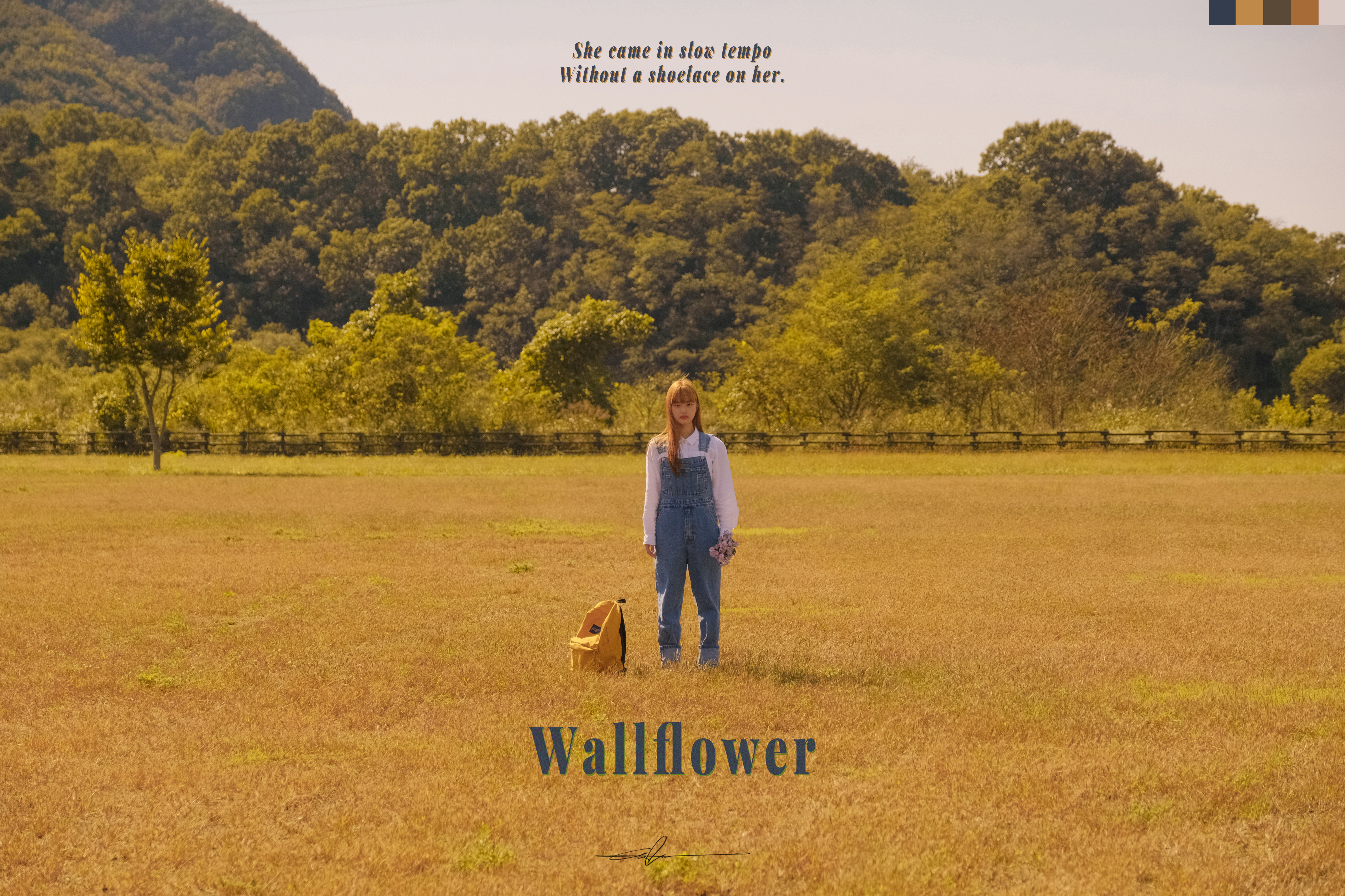  #343d4e_Wallflower