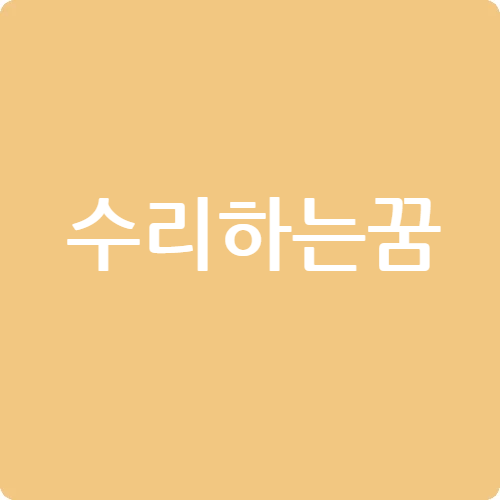 수리하는 꿈