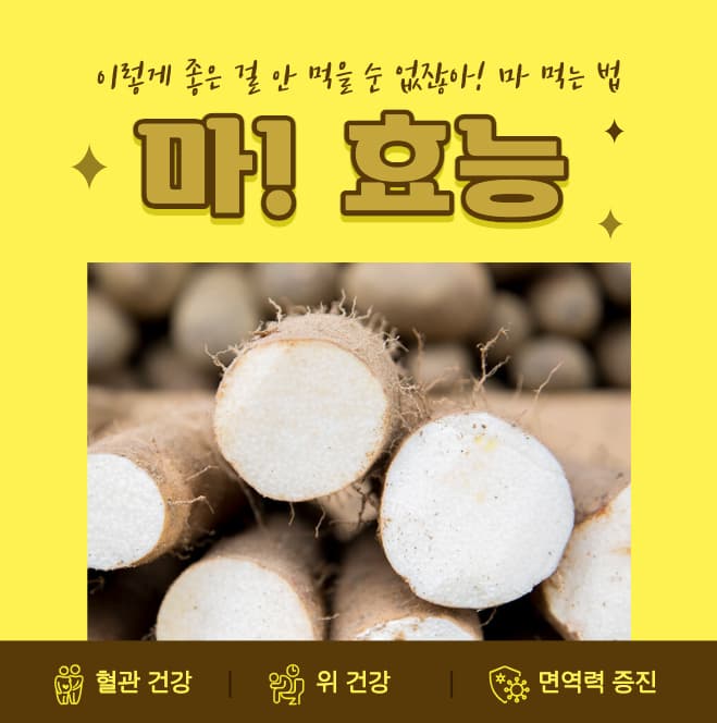  마의 효능 10가지, 마 먹는 법 특징