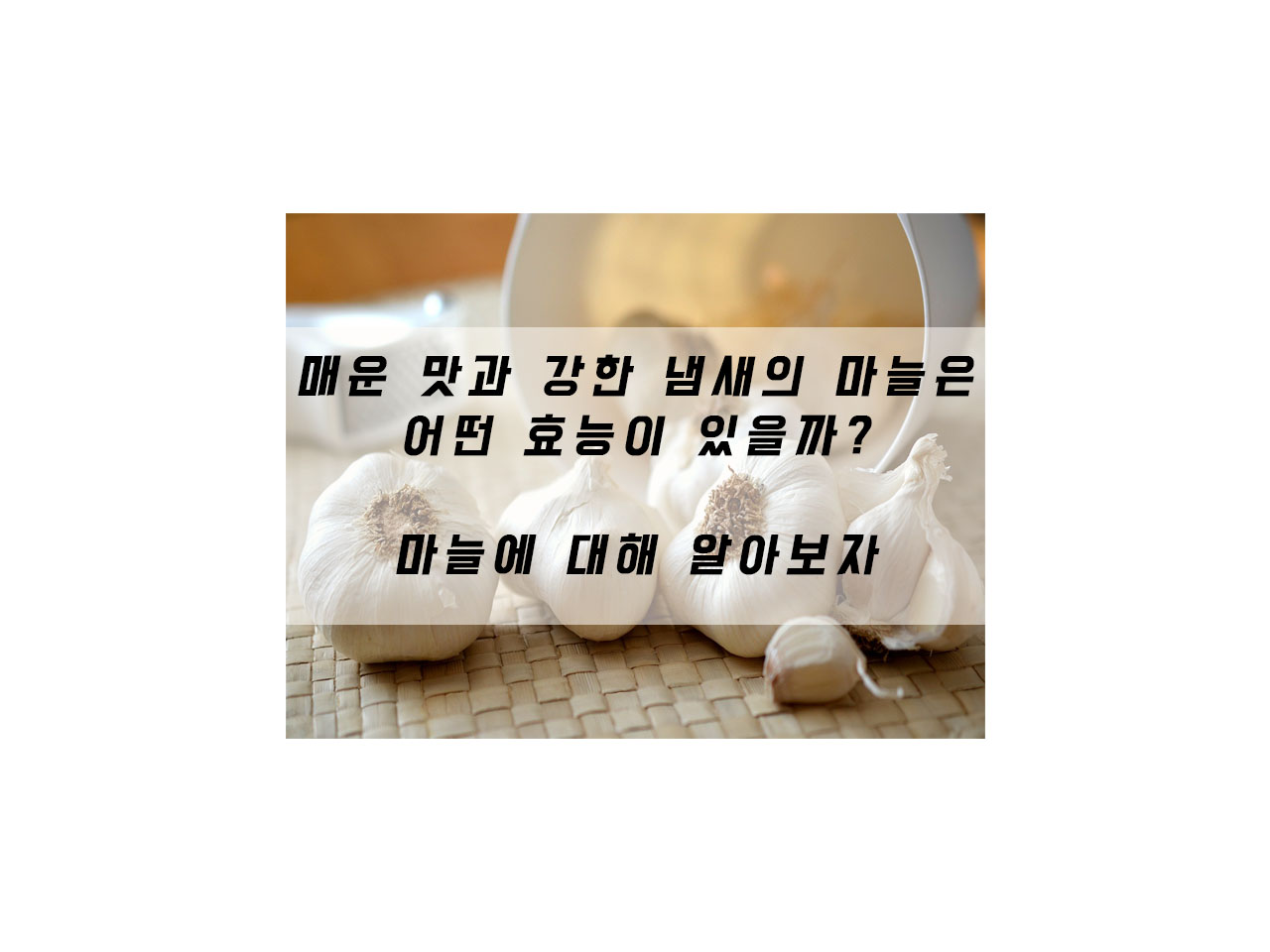  매운 맛과 강한 냄새의 마늘은 어떤 효능이 있을까? 마늘에 대해 알아보자