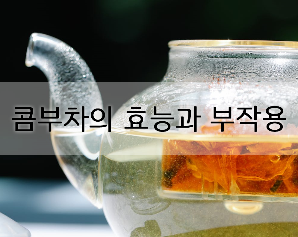  콤부차의 효능과 부작용은 어떤 것이 있을까?