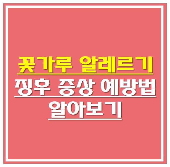  꽃가루 알레르기 징후 증상 예방법 알아보기