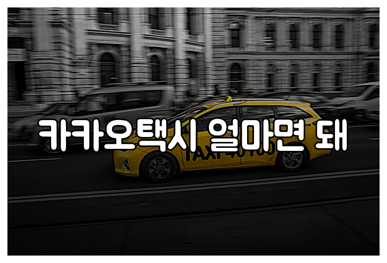 카카오택시 얼마면 돼