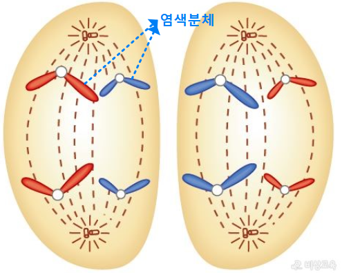 후기