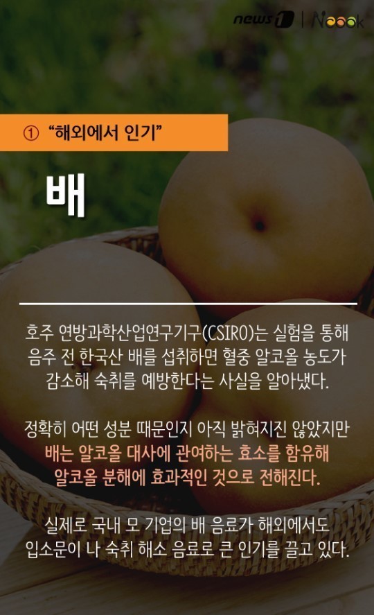 해외에서 인기 배