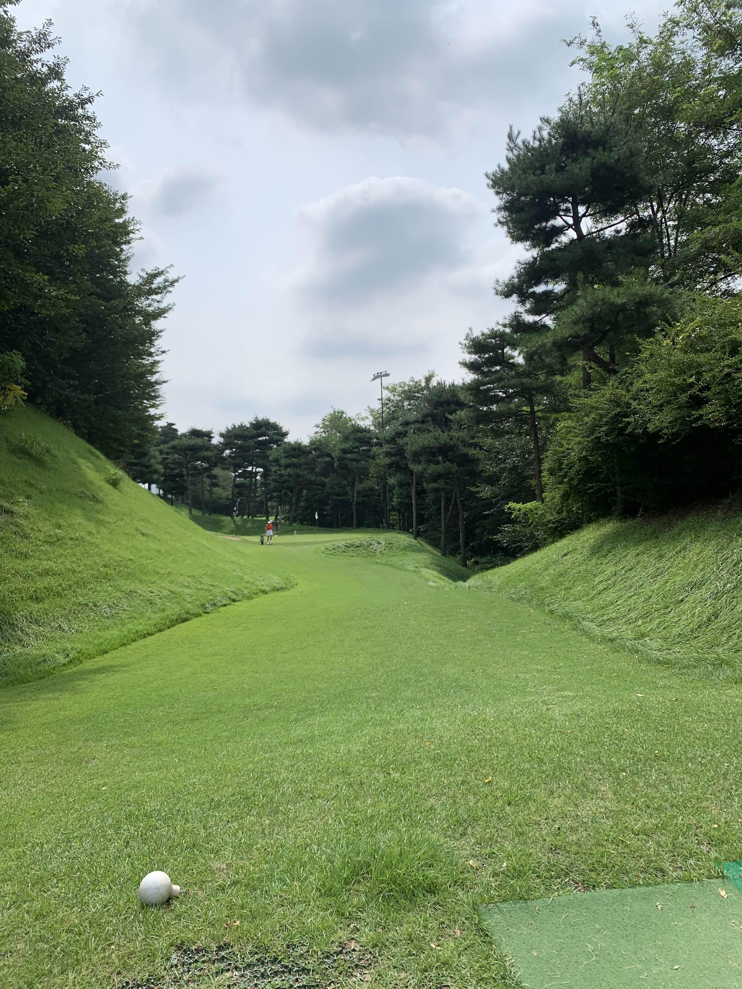 용인 파3