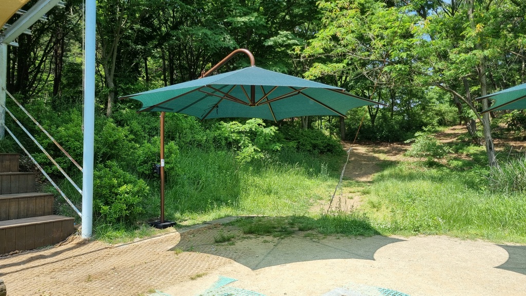 녹파랑 이미지