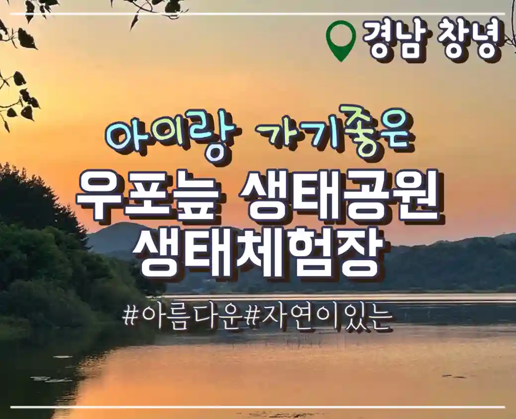  창녕 우포늪 생태체험장 및 둘레길 산책 대구근교 아이랑 갈만한곳