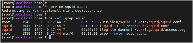 squid 서비스 확인