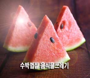  수박껍질 음식물쓰레기 분류기준