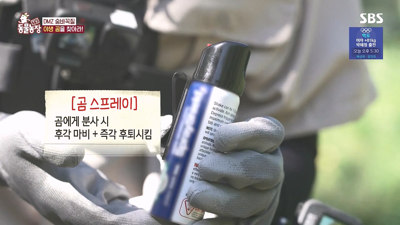 TV 동물농장.E1184.240812p-NEXT.mp4_20240811_172514.345.jpg