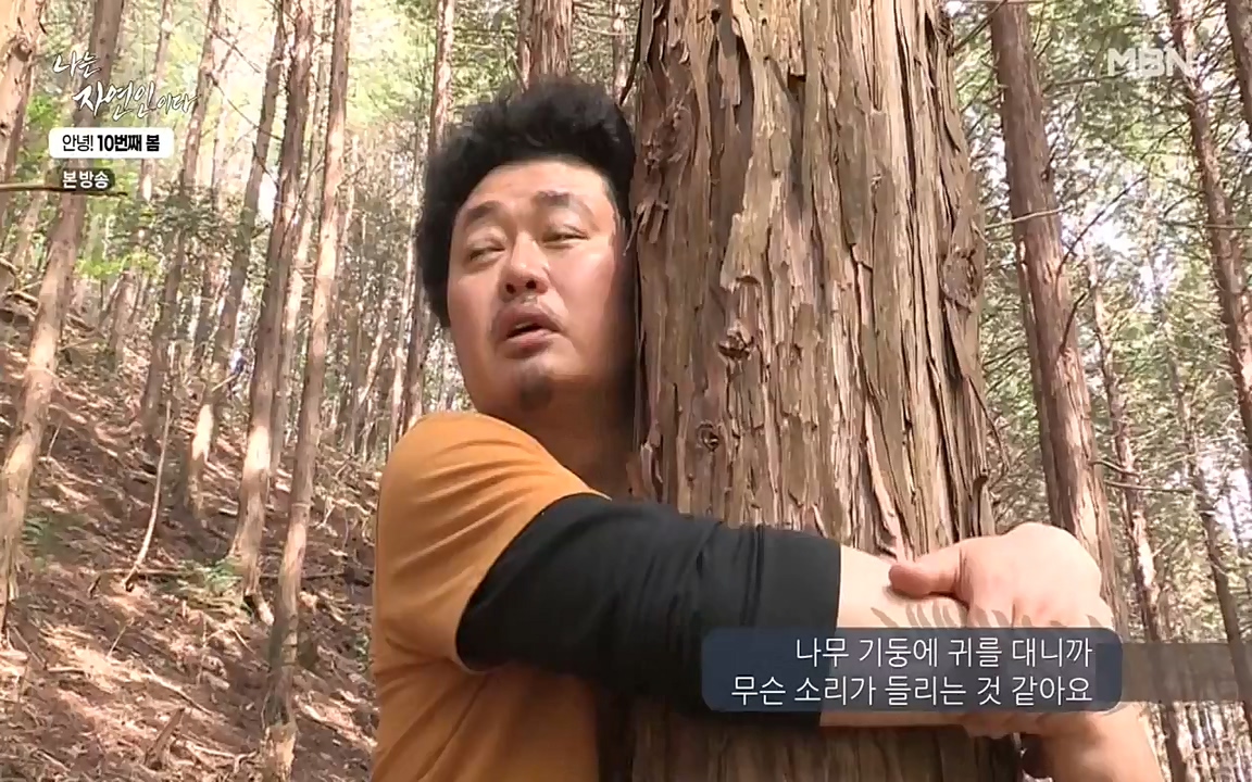 나는 자연인이다.E500.220505p-NEXT.mp4_20220505_180237.335.jpg