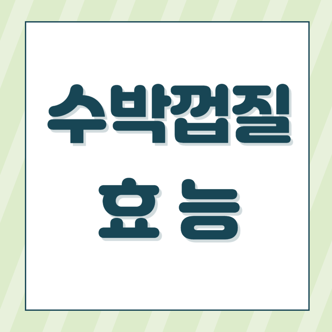 수박껍질 효능