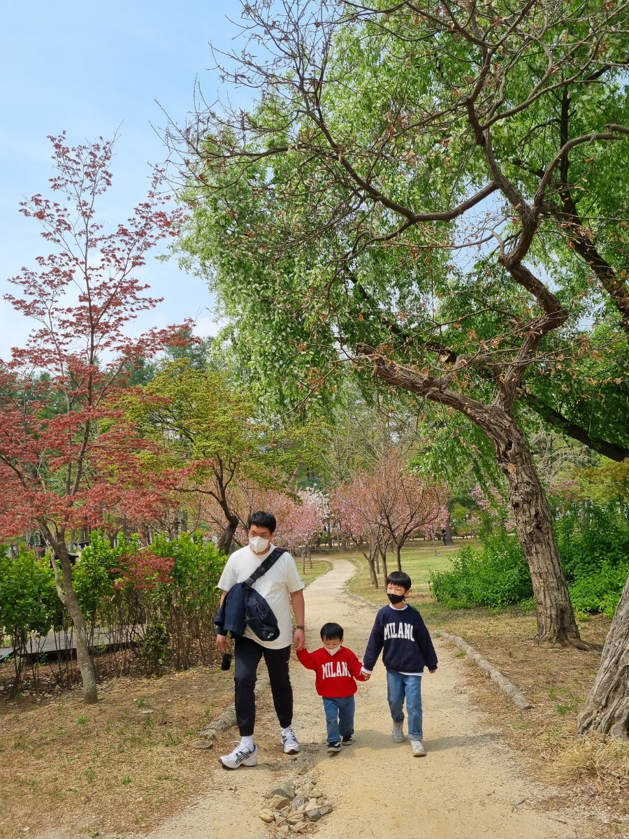 남이섬 배시간표 남이섬 배시간표, 할인 방법, 73