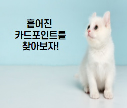  흩어진 카드 포인트 찾기! - 여신금융협회 카드포인트 통합조회 계좌입금 신청방법