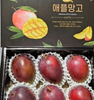 [생생정보 수확의 달인] 제주 애플망고 택배 주문 방법! 농장 위치 전화번호 가격 한눈에 총정리!
