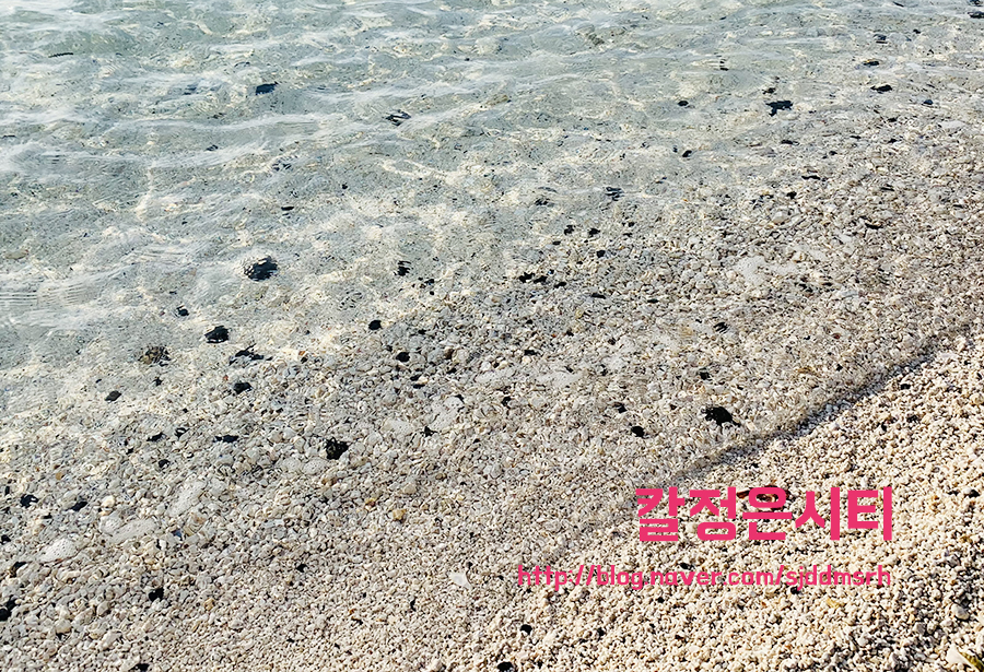 우도여행 알찬 1시간ㅋㅋ 3