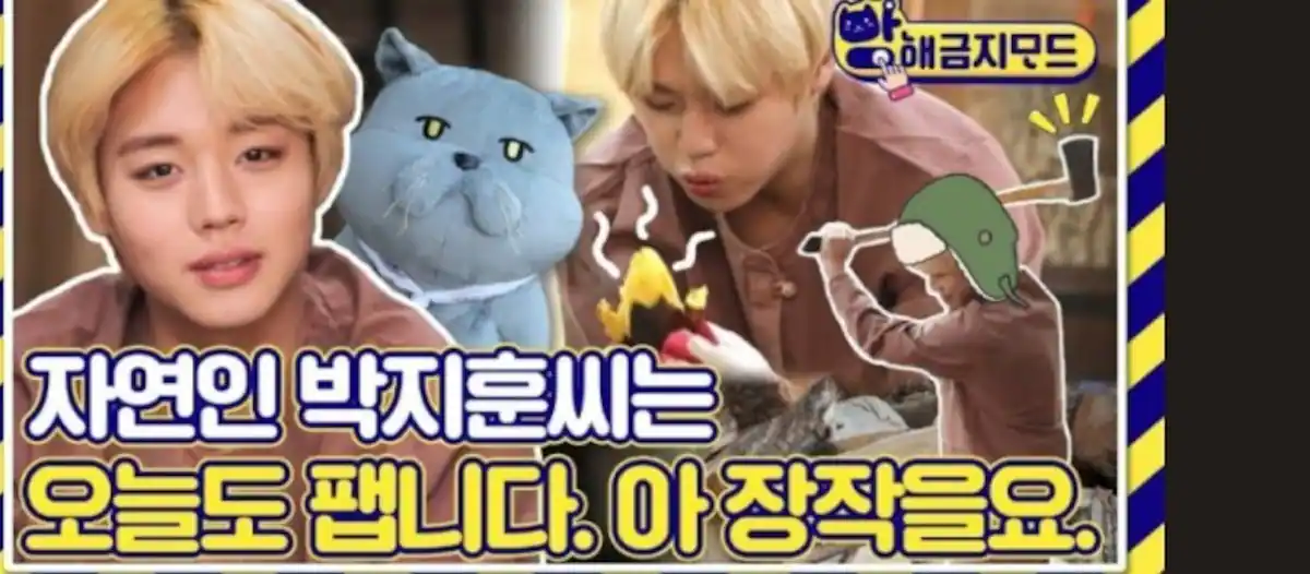 야옹이네 촌캉스 , sns 티비쇼프로그램