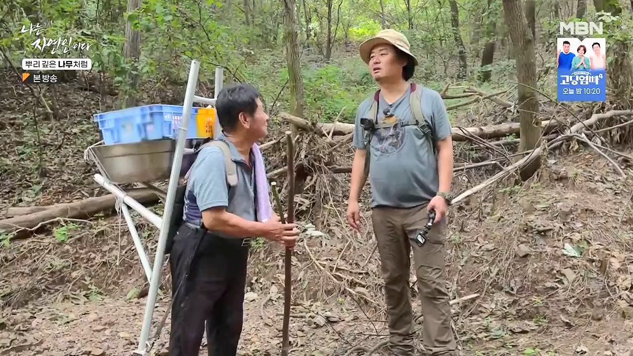 나는 자연인이다.E571.230914p-NEXT.mp4_20230914_202142.918.jpg