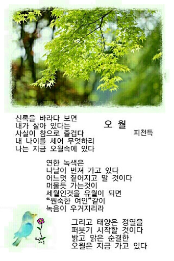  送上5月
