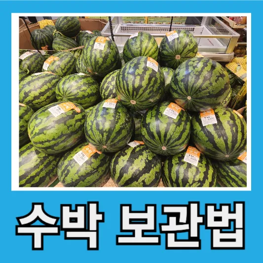 수박 보관법