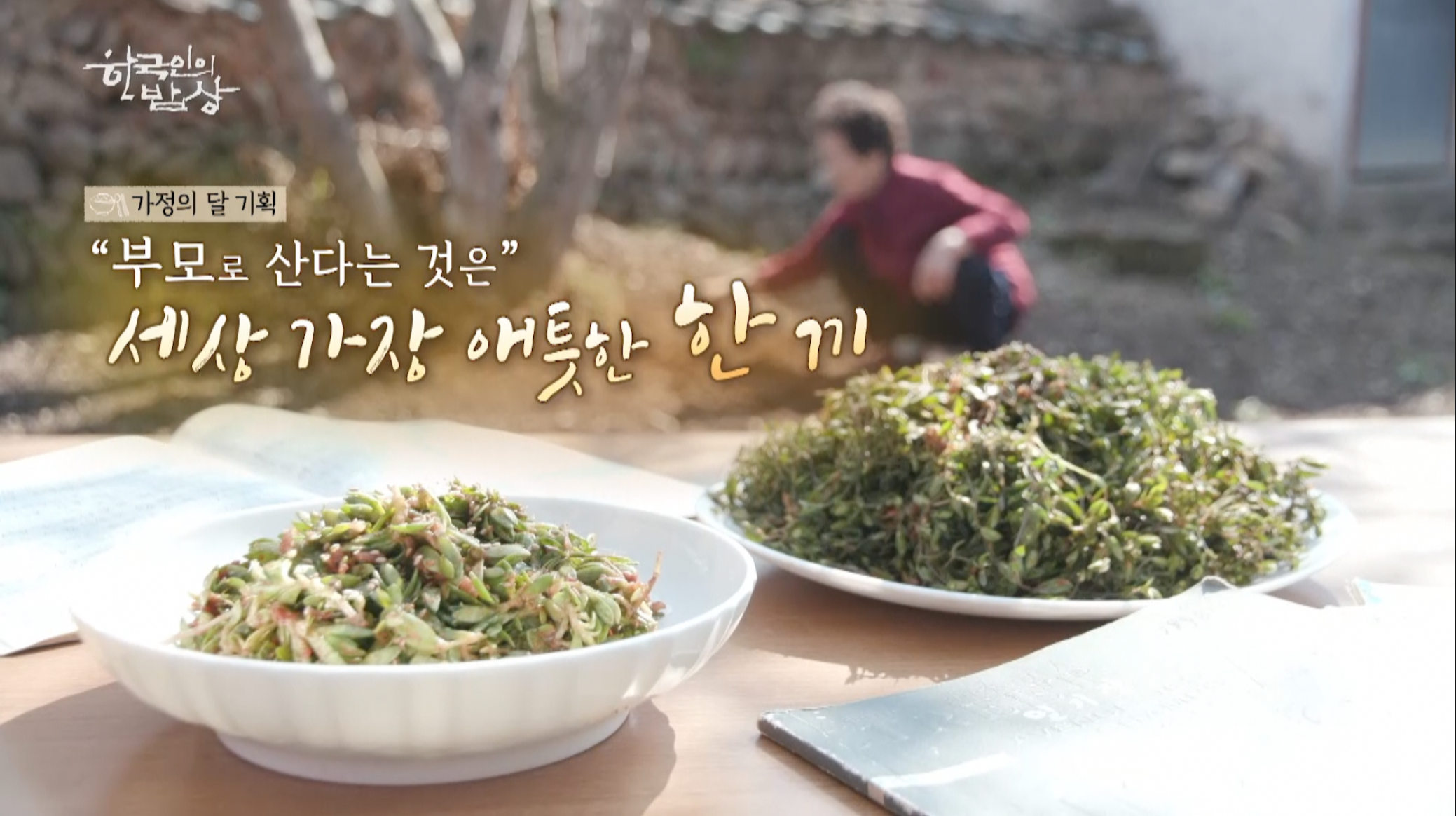 한국인의 밥상 금산 농부 제빵사