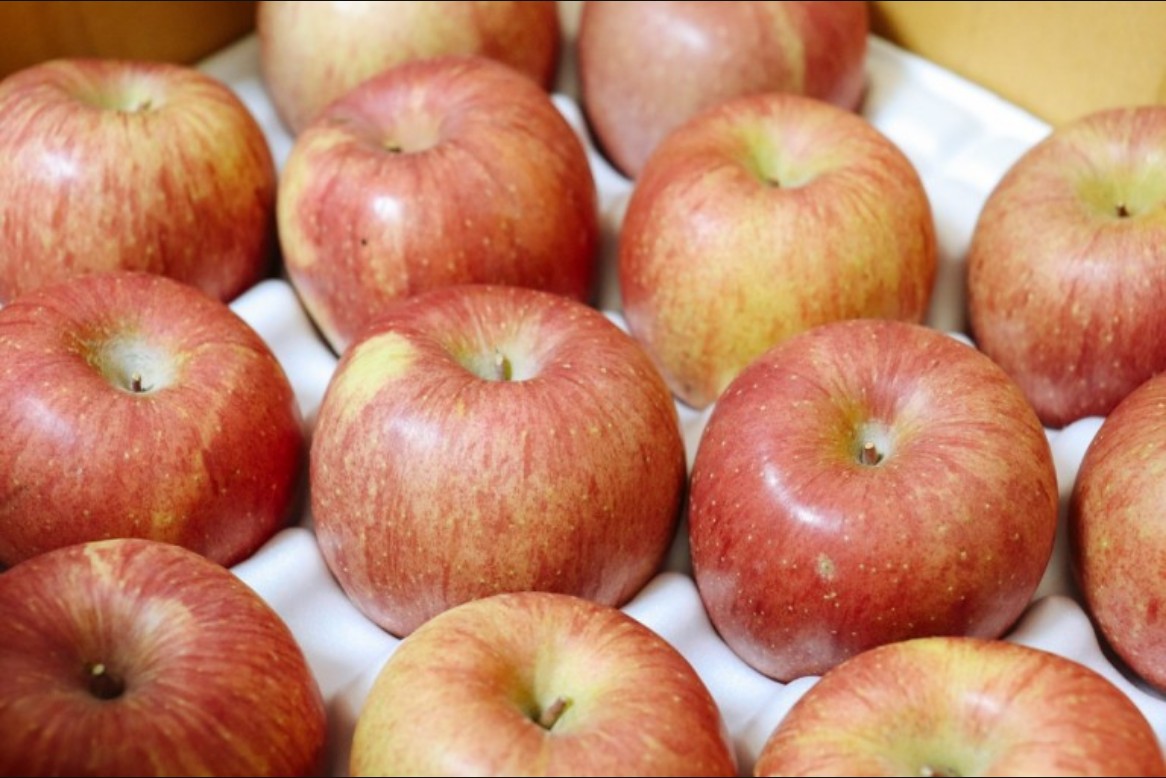 사과칼로리 이해를 위한 사과 반개 이미지