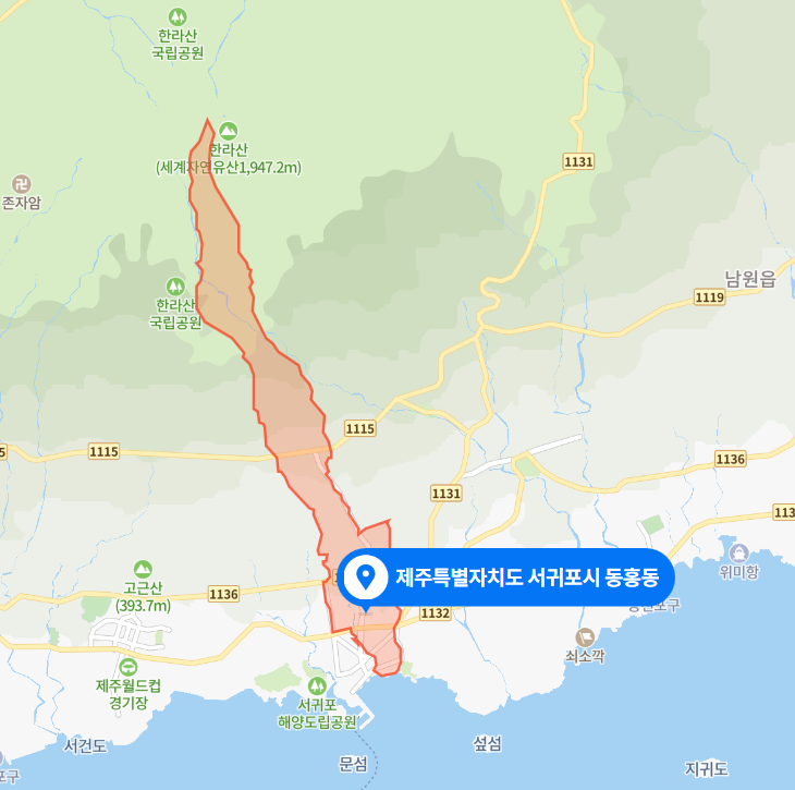  제주 서귀포시 동홍동 초등학교 여학생 뺑소니 교통사고 사망 사건 (2022년 2월 9일)