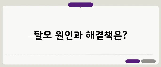 40대 이후 머리숱 감소의 원인과 효과적인 탈모 예방 방법