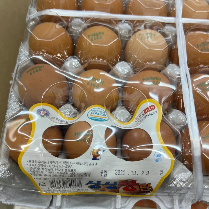 코사우리마트 이미지