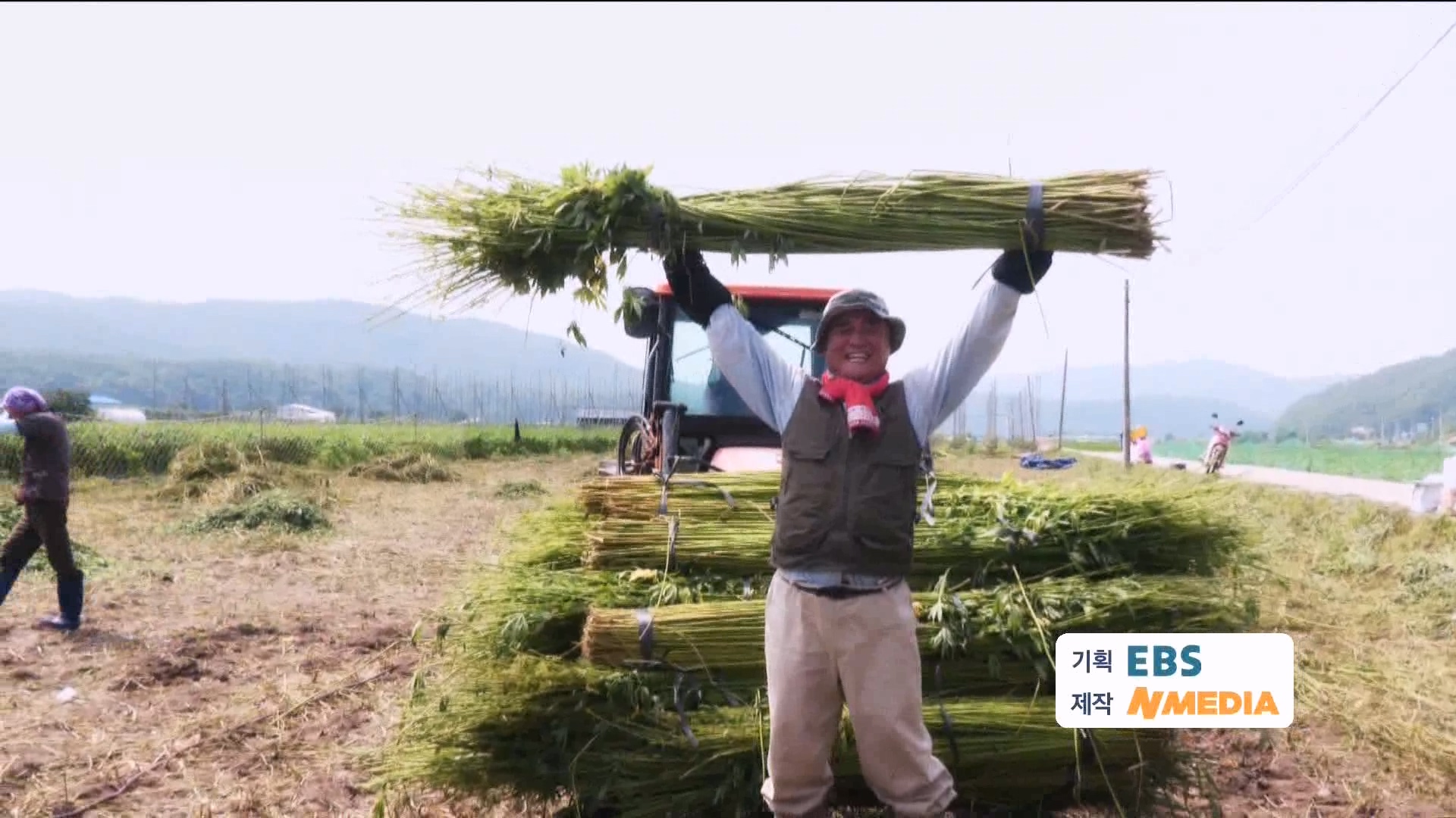 [극한 직업] 삼베 제작과 농어잡이 230812p.mp4_20230814_204012.557.jpg