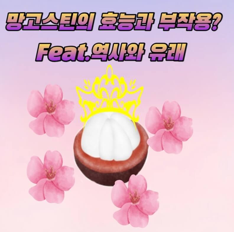  열대과일시리즈5.망고스틴의 효능과 부작용feat.역사와 유래?