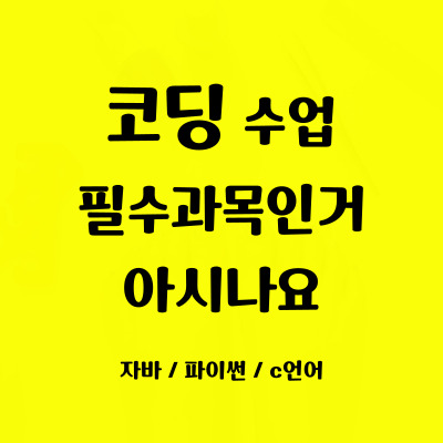  진건 일대일 코딩과외 진건읍 초등 중등 코딩학원 자바스크립트 파이썬 어린이코딩 필수과목