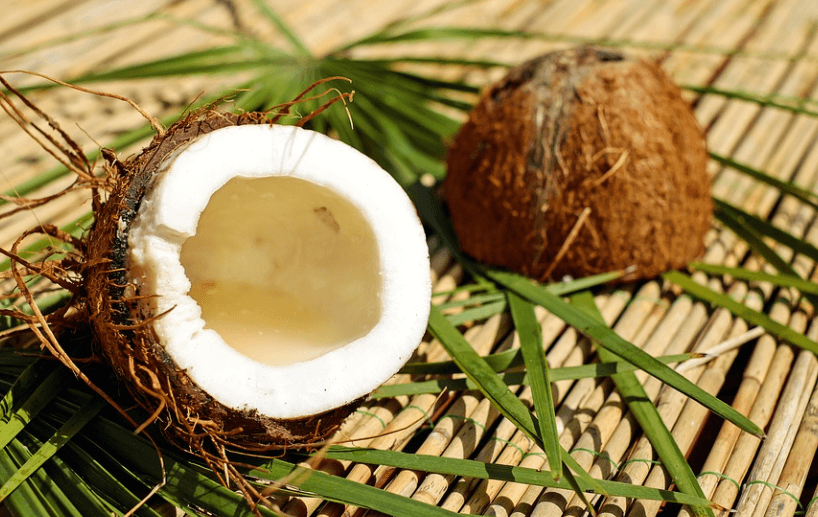 코코넛사진